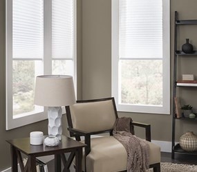 American Blinds: Advantage Cordless Pleated Shades